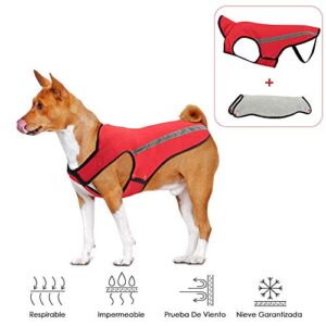 La Mejor Lista De Ropa De Perro Grande Disponible En Linea