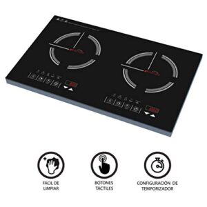 Catalogo Para Comprar On Line Parrilla Induccion 2 Quemadores Los 5 Mejores